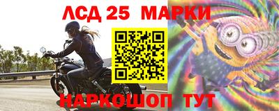 твердый Новозыбков