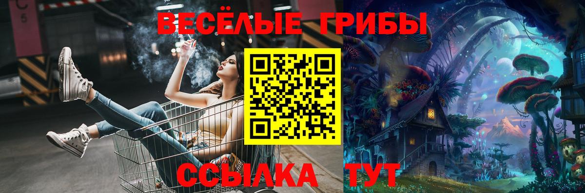 Псилоцибиновые грибы прущие грибы Тобольск