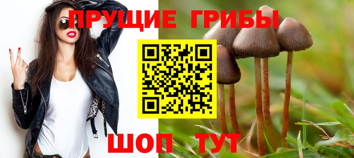 Галлюциногенные грибы MAGIC MUSHROOMS  Вход с VPN  Тобольск 